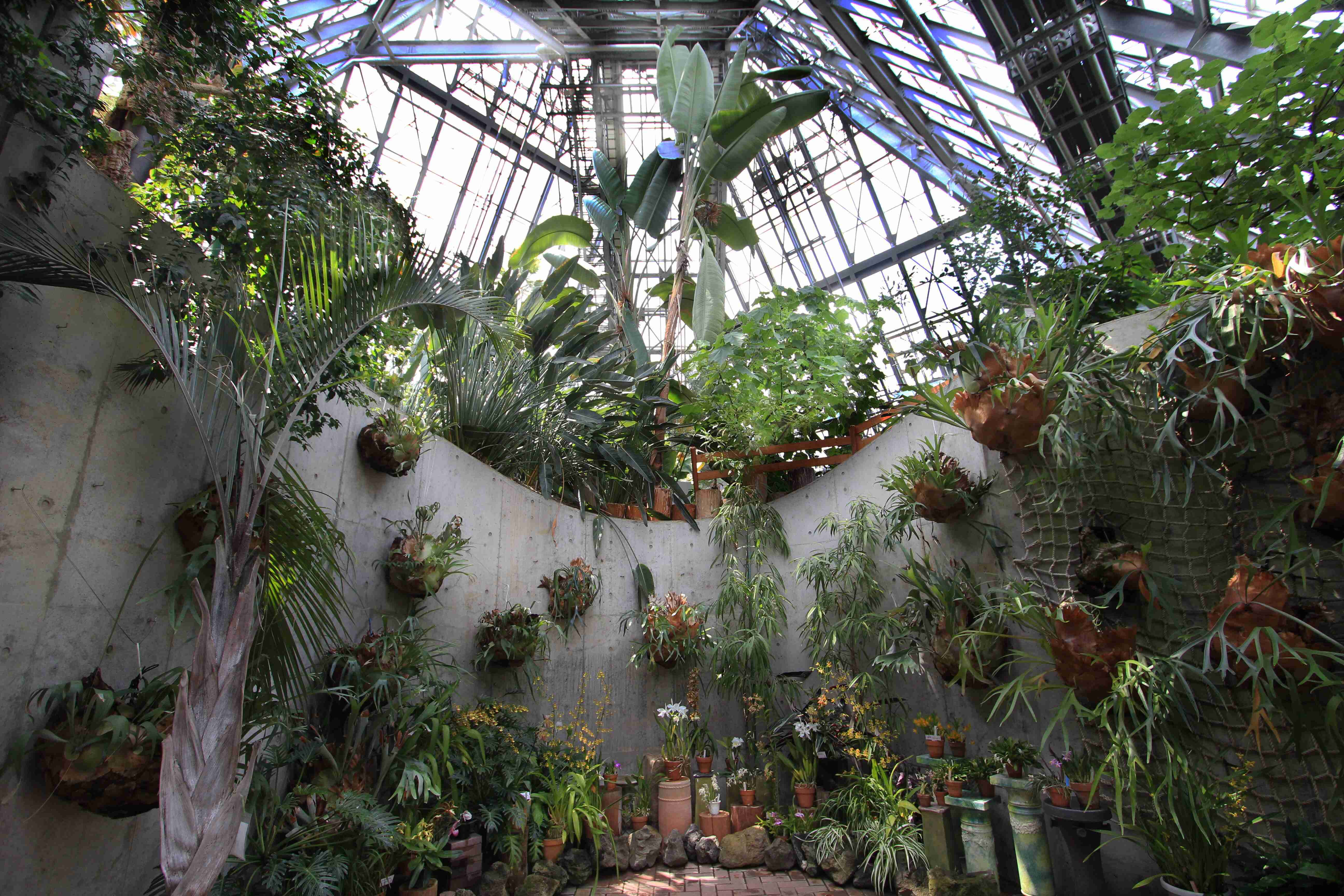 🌸 오사카부립 꽃의 문화원(오사카후리츠 하나노분카엔)